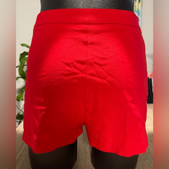 Ruby Karat, High-Waisted Shorts, Size Medium - Picture 6 of 11